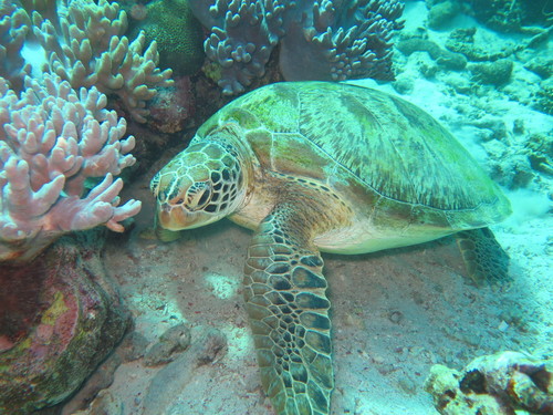IMG_6991.JPG