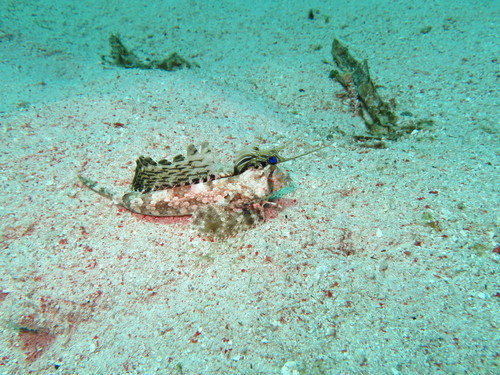IMG_7736.JPG